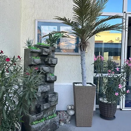 Plexus Boutique Guest house 3*