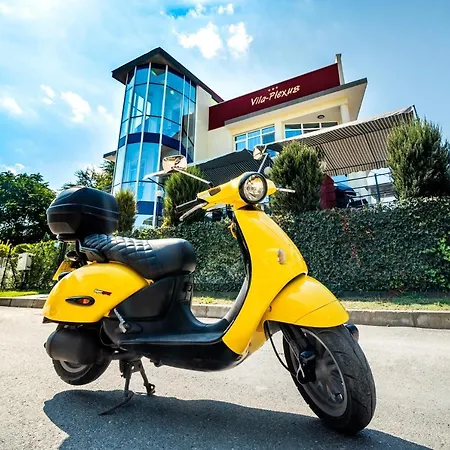 Plexus Boutique Eforie Sud (Constanta)