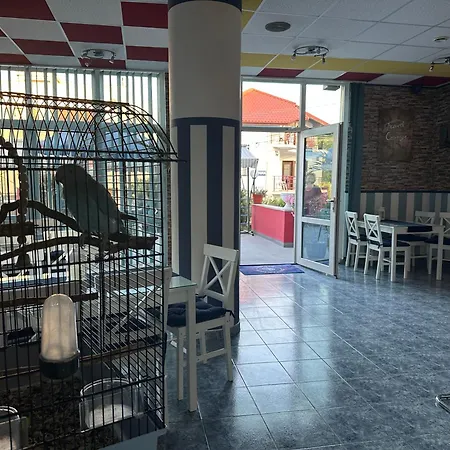 Plexus Boutique Pensjonat