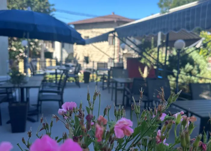 Pensión Plexus By Don Eforie Sud (Constanta)